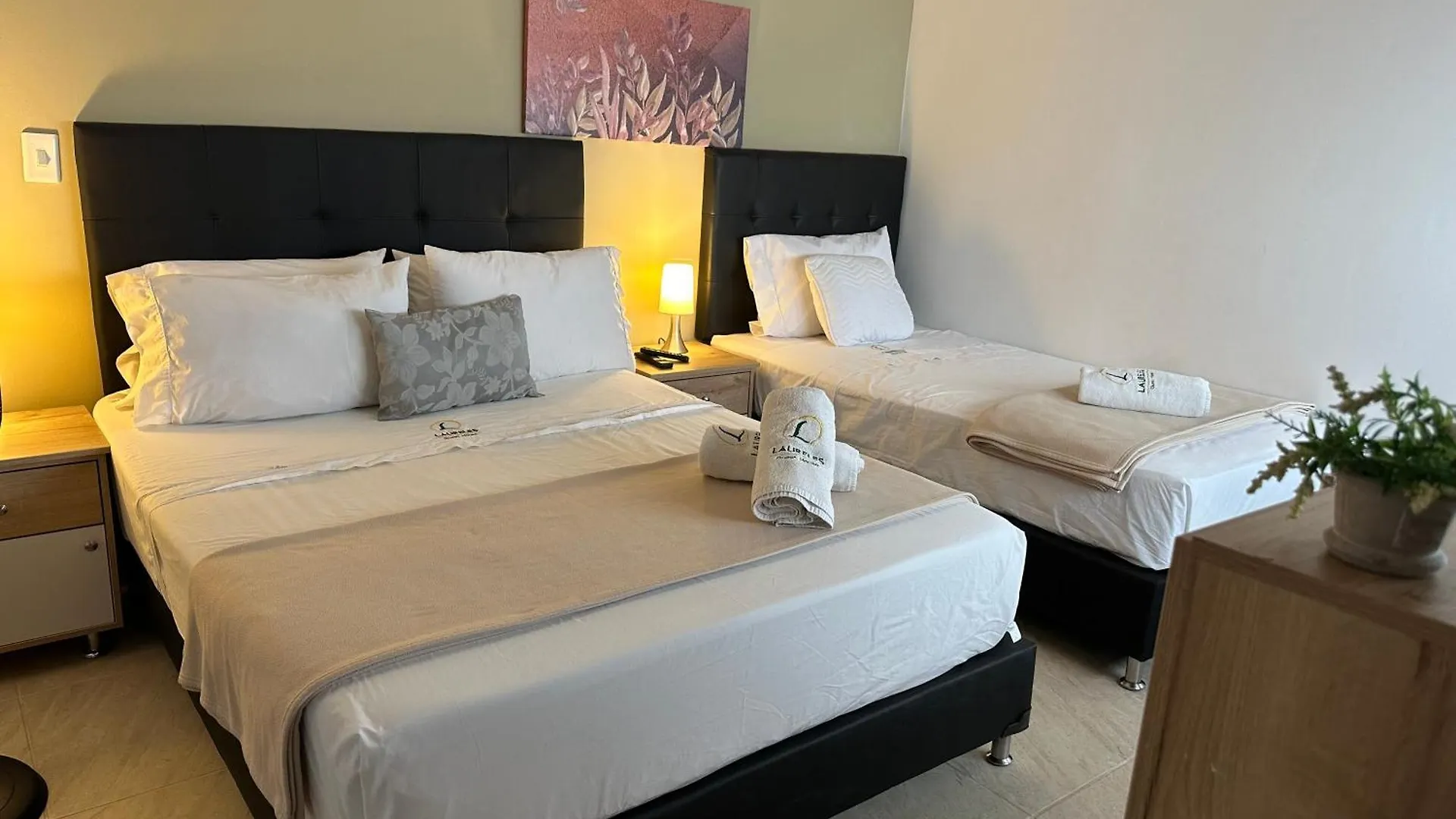 Laureles Guest House Lgh Hotel Medellín