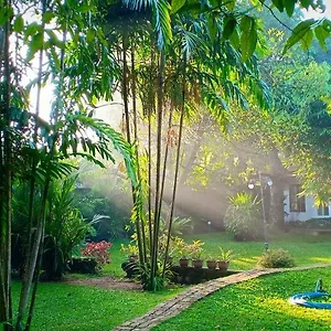 Mango House Japanese Sri Lanka